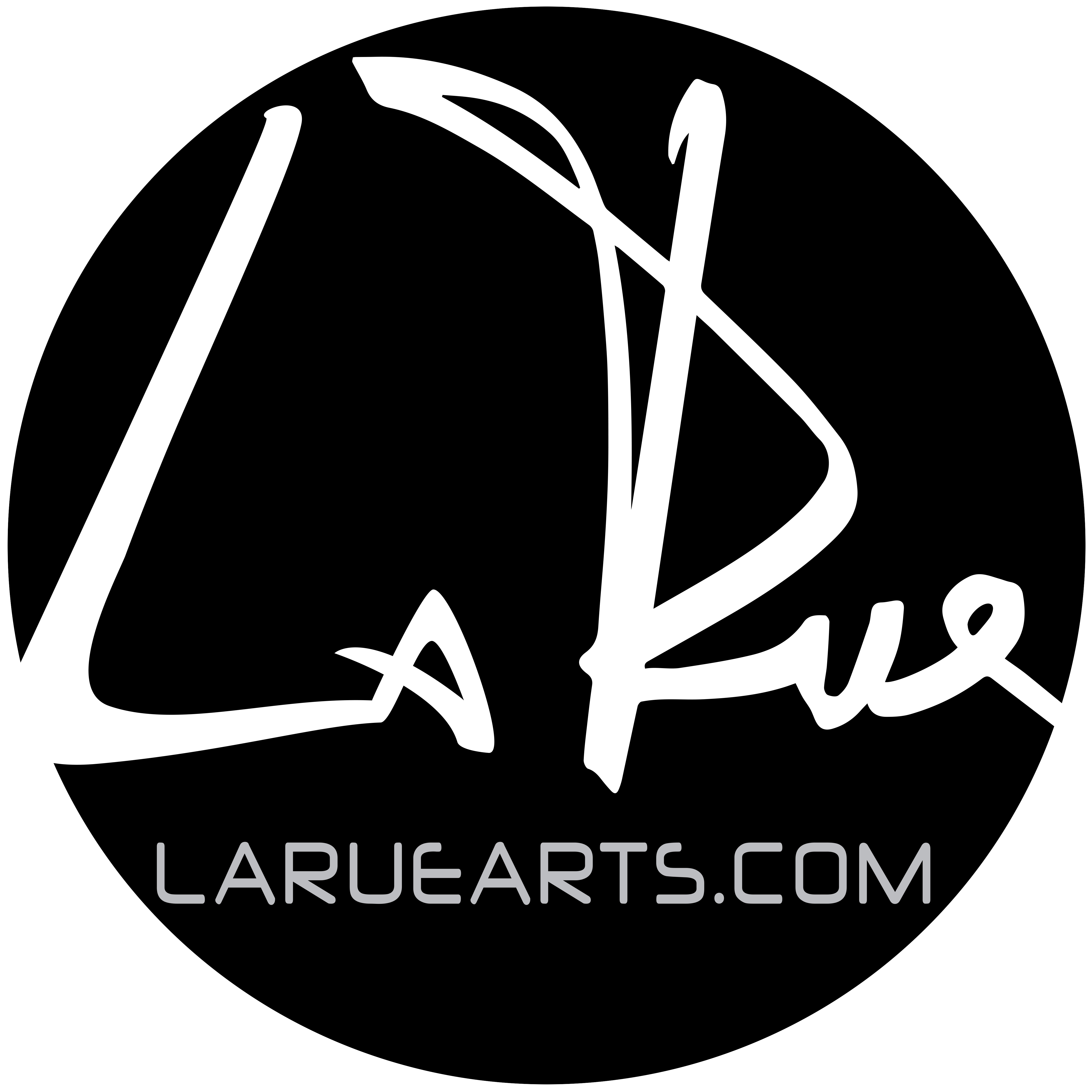Doug LaRue - Website
